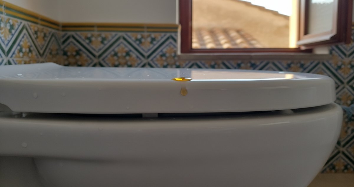 gocce-olio-essenziale-interno-del-water