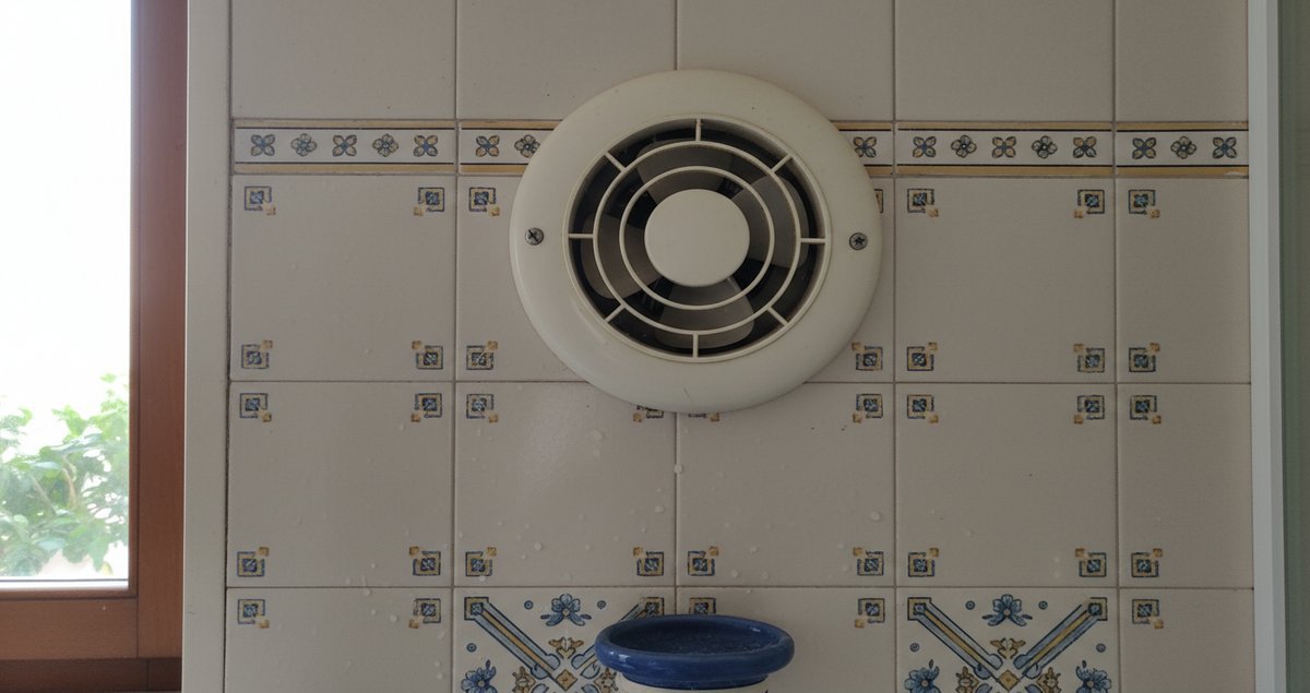 quando-ventilare-il-bagno-dopo-la-doccia-per-evitare-muffa