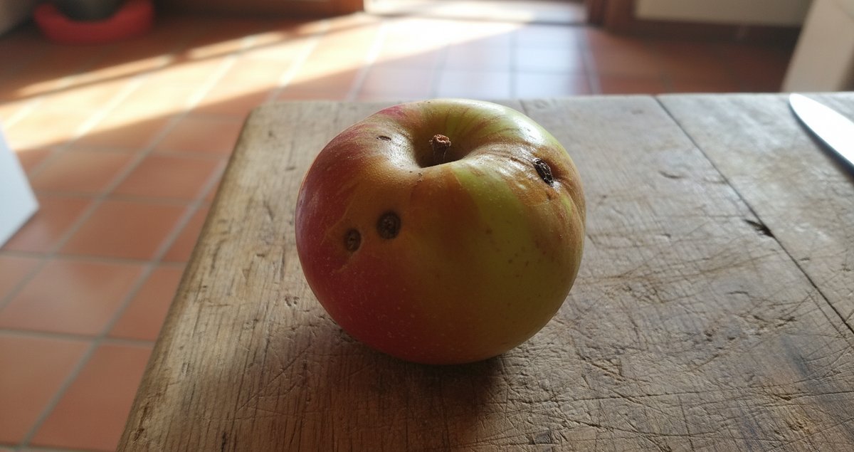 errore-conservazione-rovinare-frutta-verdure